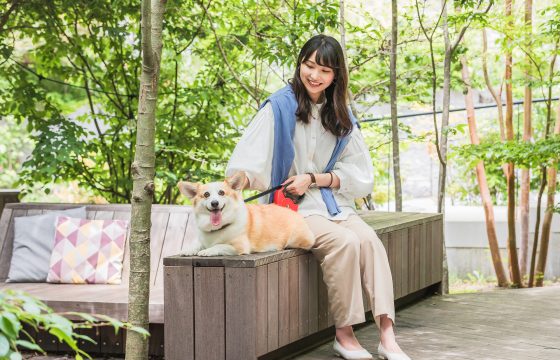 輕井澤很享受和寵物在一起的時光。 推薦的戶外活動地點